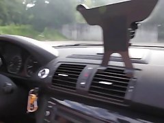 Ава Далуш ближе путката на приятелката си и събличане с нея за секс безплатни порно сайтове